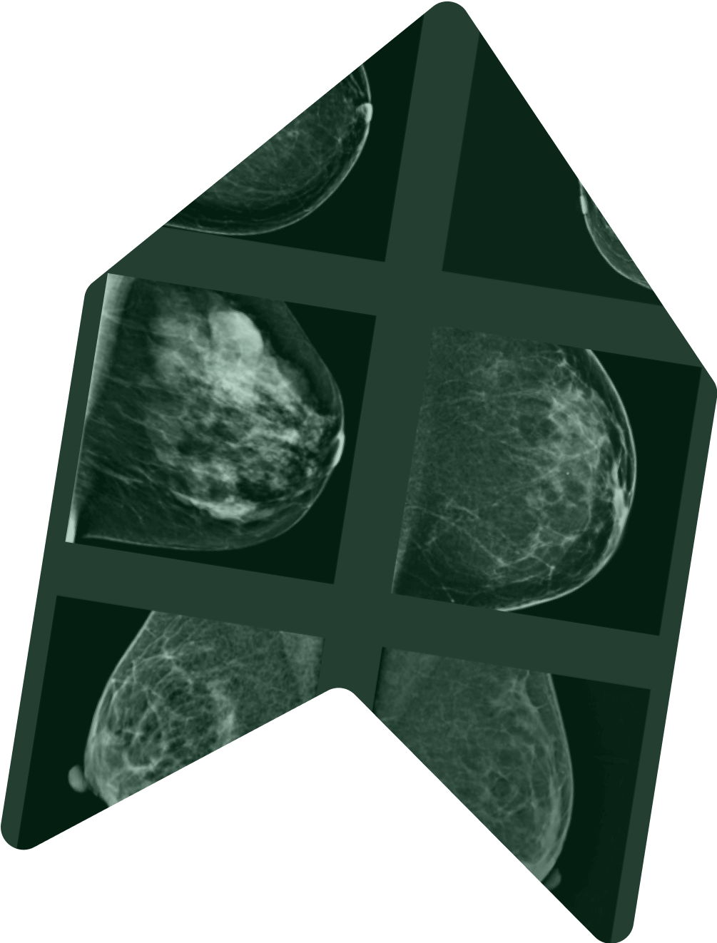 Synthetic images from SynthVision